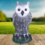 Motion Activated Light Up Owl