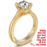 Ring Size Adjusters
