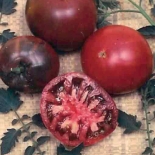 Black Krim Tomato Seeds