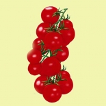 Siberian Tomato Seeds