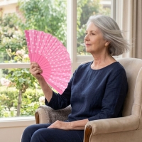 Fold Out Fan