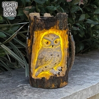 Solar Garden Owl