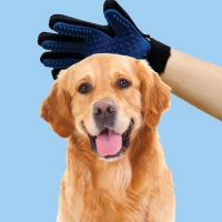 Pet Friendly Glove