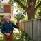 Electric Pruning Shears