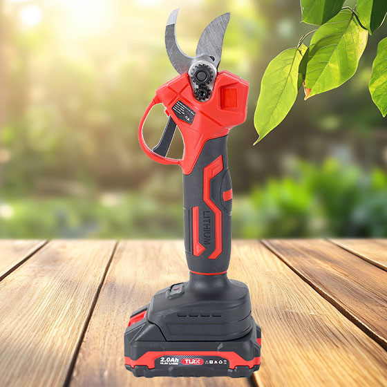 Pruner and Extension Pole Combo Sale!