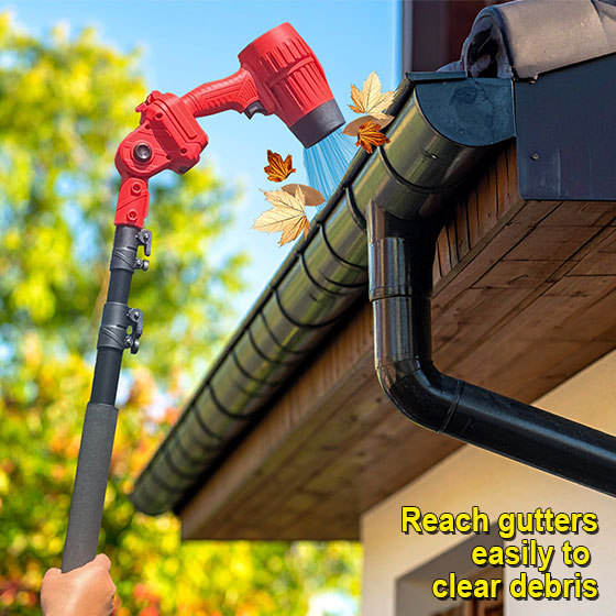 Blower and Extension Pole Combo Sale